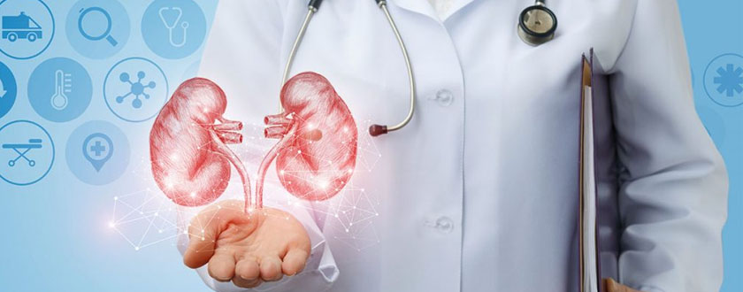 Nephrology Image